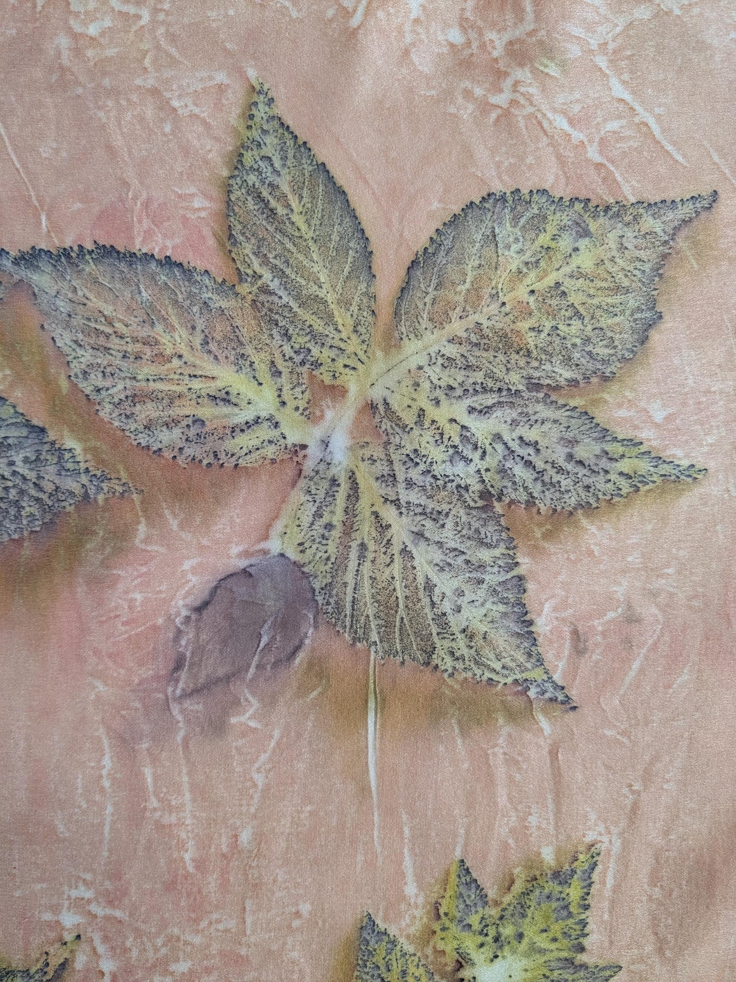 Organic Silk Eco Print Scarf: Madder Root Dyed, Raspberry Leaf