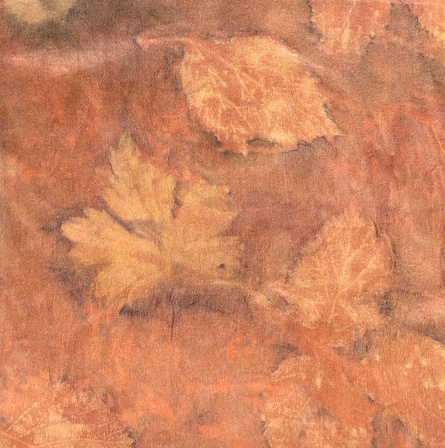 Autumn scarf, madder dyed and eco printed leaves